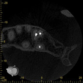 haake-harig_6872_dvt